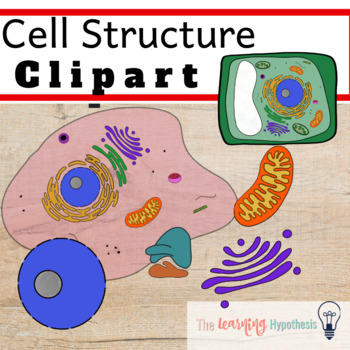 biology clipart