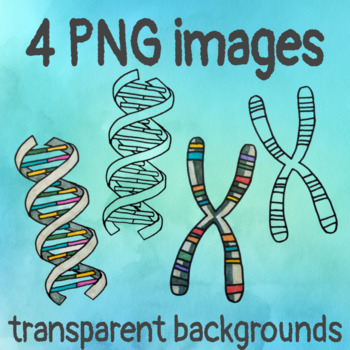 Free Dna Cliparts Download Free Dna Cliparts Png Images Free Clip