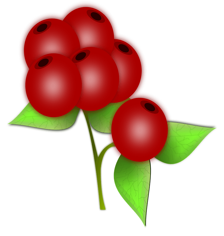 Berry Stock Illustrations, Cliparts and Royalty Free Berry Vectors