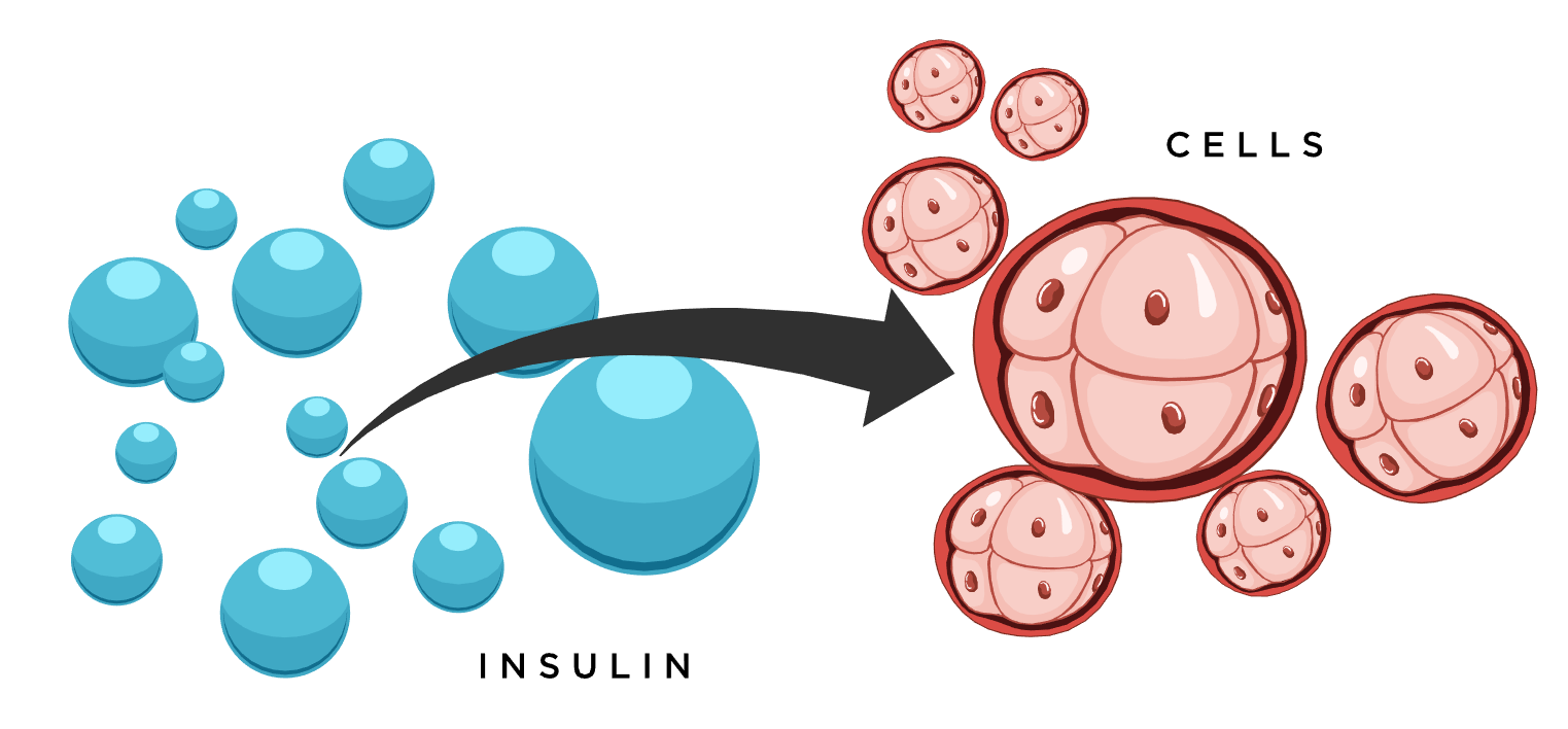 Nonprofit Civica Plans to Deliver Low-Cost Insulin