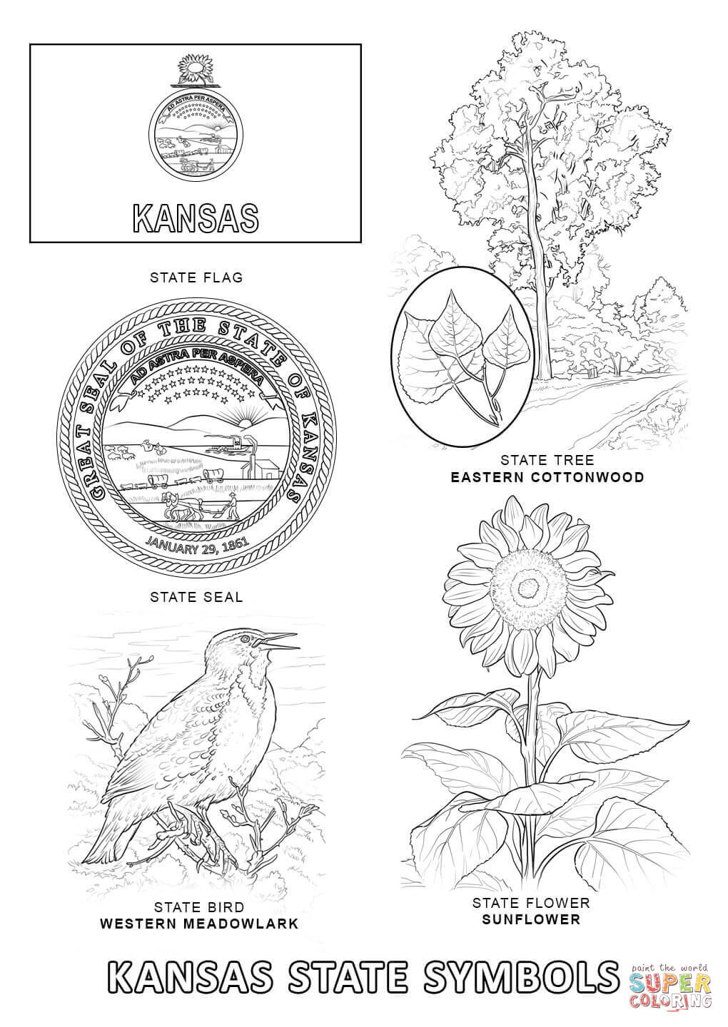 Kansas State Symbols coloring page | Free Printable Coloring Pages