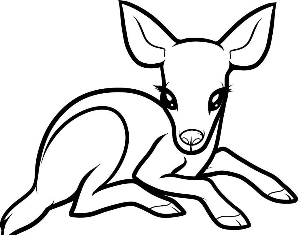 Free Baby Deer Coloring Page, Download Free Baby Deer Coloring Page png