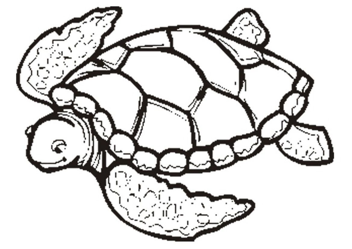 Adult Coloring Pages Turtle