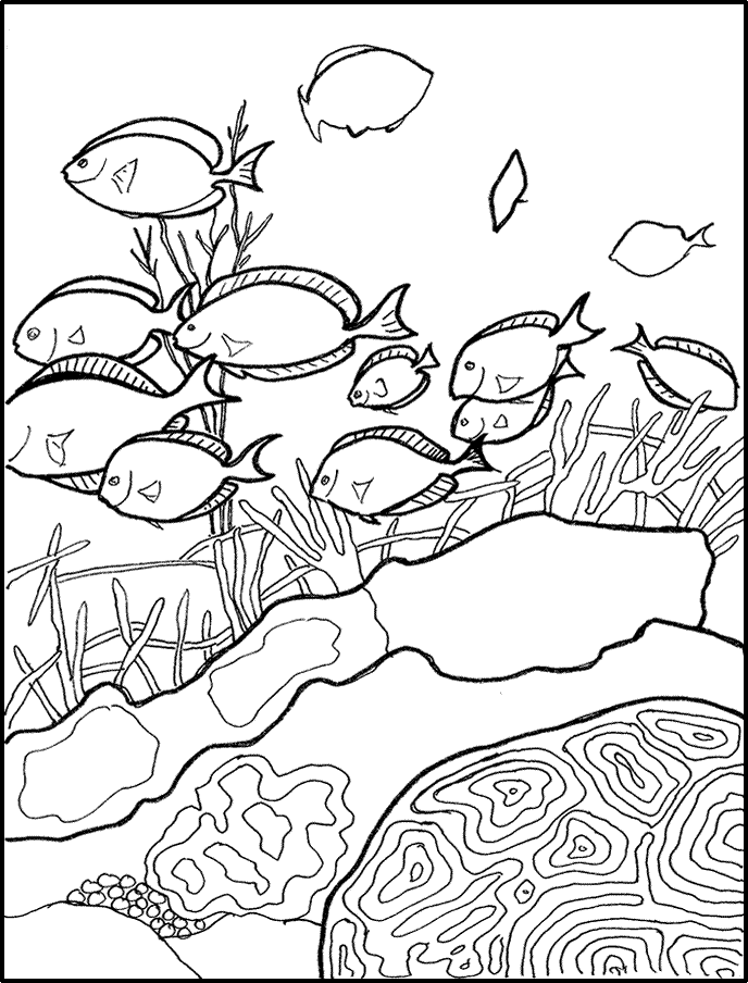 Free Coral Reef Coloring Pages, Download Free Coral Reef Coloring Pages ...