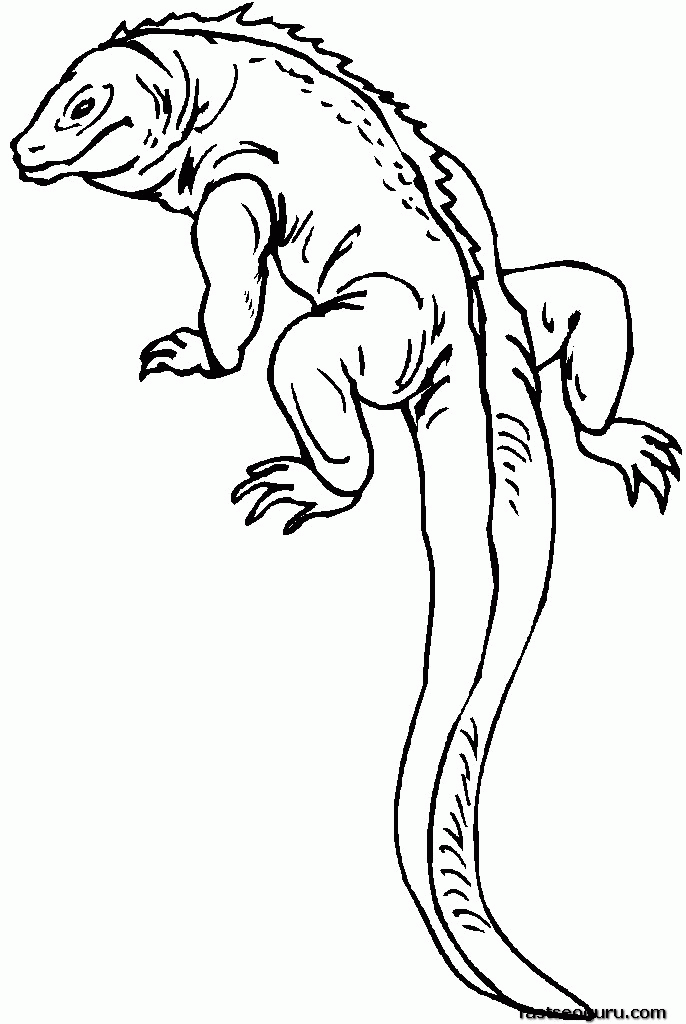 coloring pages reptiles printable - Clip Art Library