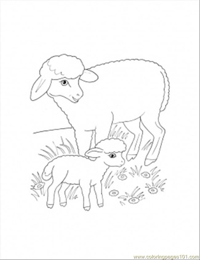 Printable Pictures Of Mammals
