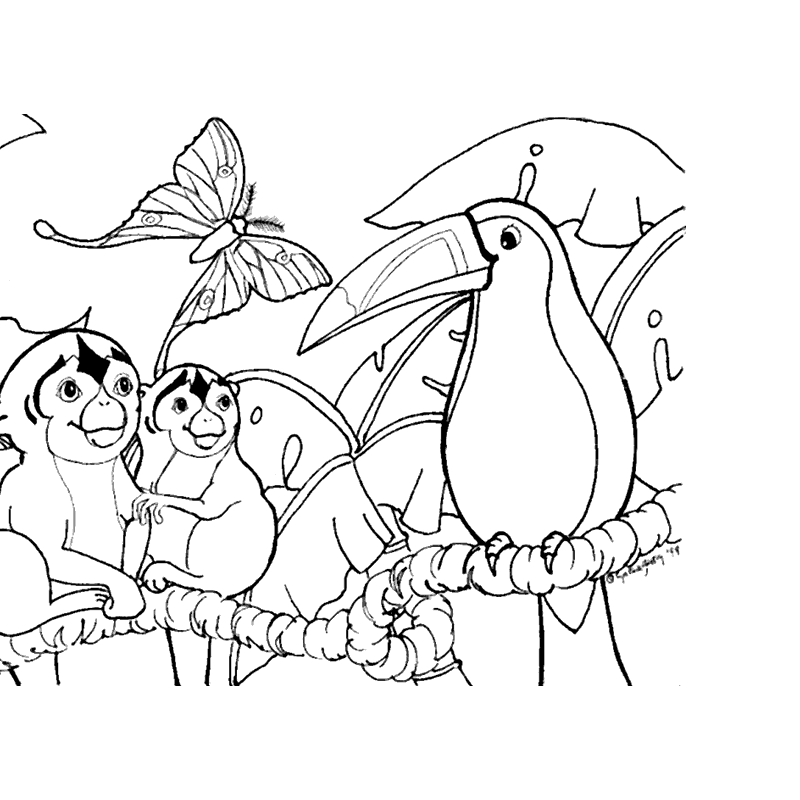 coloring pages of tropical rain forest