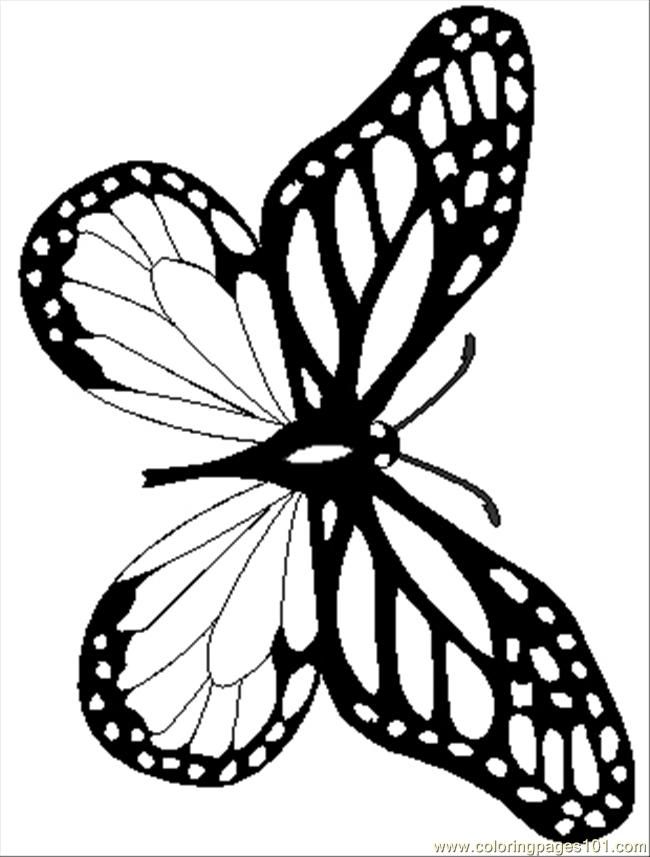Распечатки бабочек черно. Шаблон бабочки. Трафареты бабочки. Трафарет бабочки для вырезания. Раскраска "бабочки".