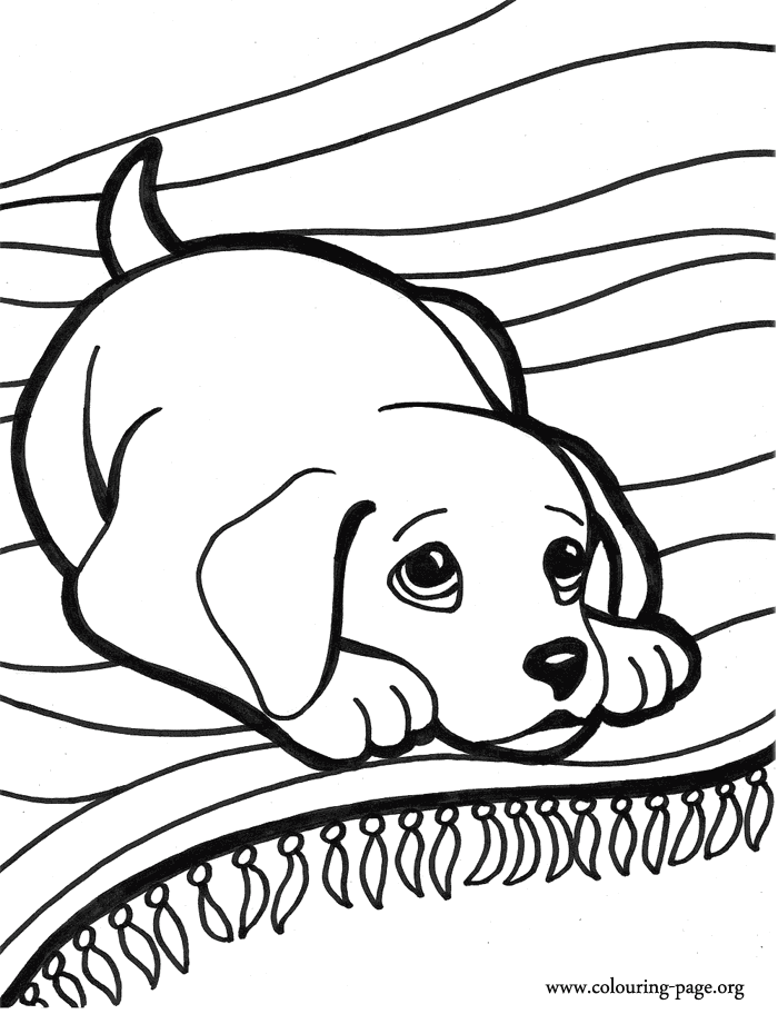 puppy dog colouring pages clip art library