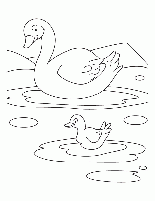 Coloured Cartoon Duck Coloring Page Design Outline Sketch Drawing Vector,  Duck Pictures Drawing, Duck Pictures Outline, Duck Pictures Sketch PNG and  Vector with Transparent Background for Free Download