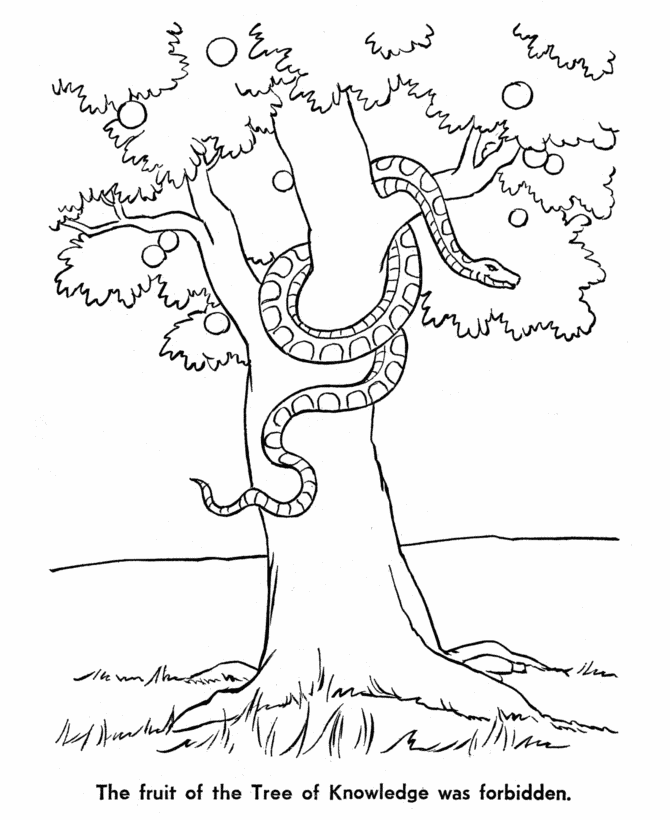 Triangle Coloring Sheet