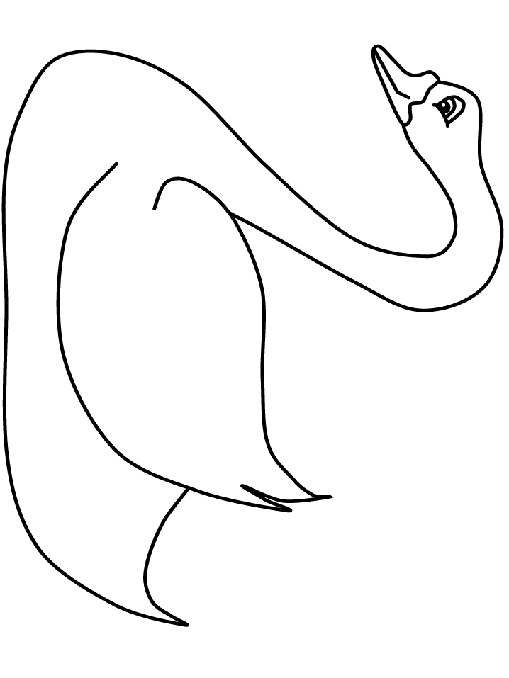 Realistic Bird Coloring Pages