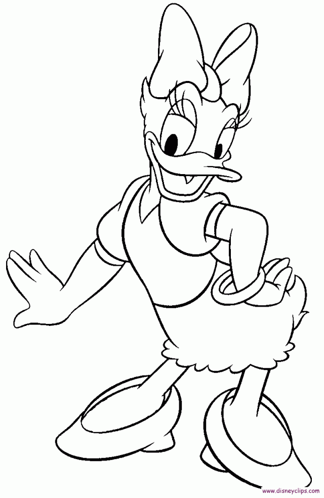 How to Draw Daisy Duck From Disney