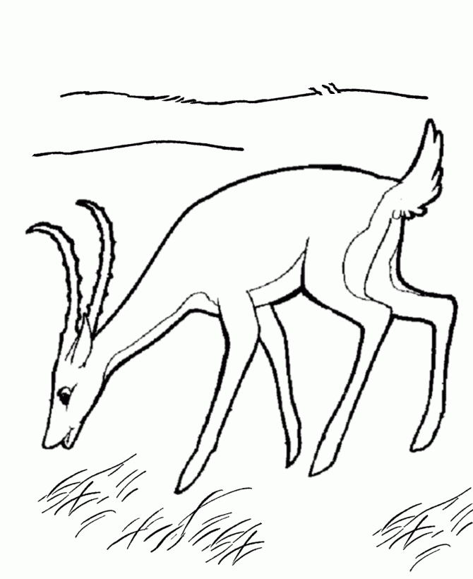 Algeria coloring sheet