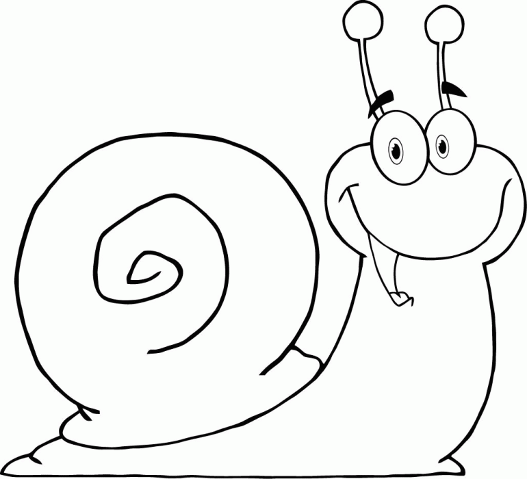 Snail Cartoon Pictures