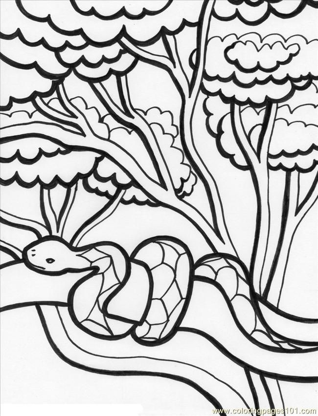 free-jungle-coloring-sheets-download-free-jungle-coloring-sheets-png-images-free-cliparts-on