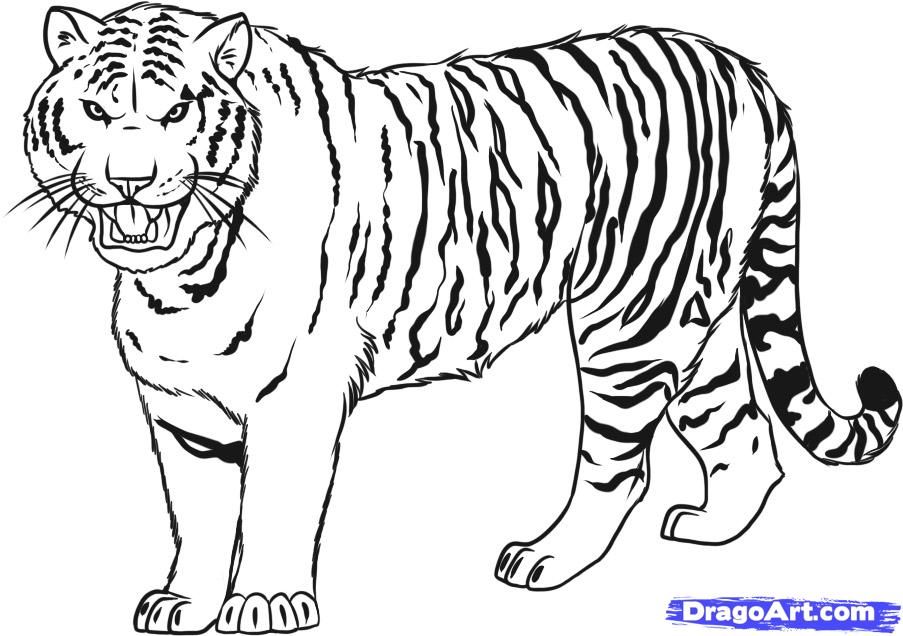 Free Bengal Tiger Coloring Pages, Download Free Bengal Tiger Coloring ...
