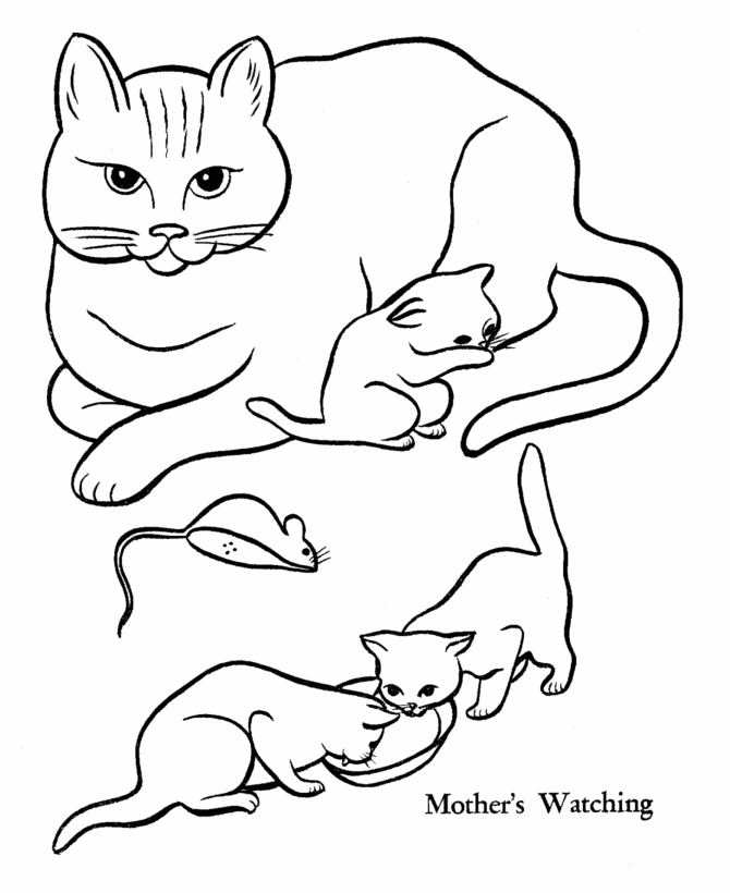 Cat Coloring Pages Printable | Free coloring pages