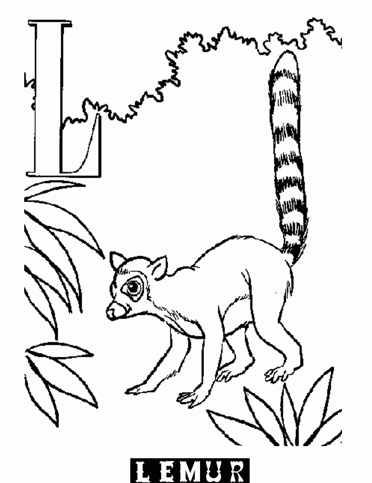 Animal Coloring Pages :Kids Coloring Pages | Printable Coloring