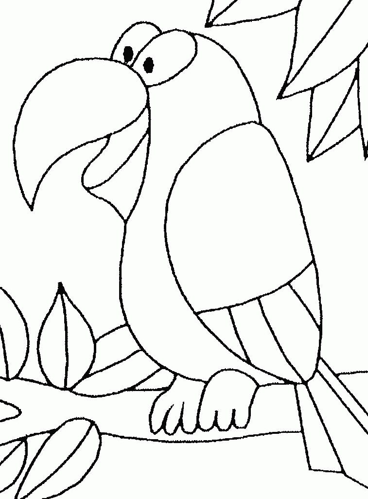 Pictures Of Parrots To Color