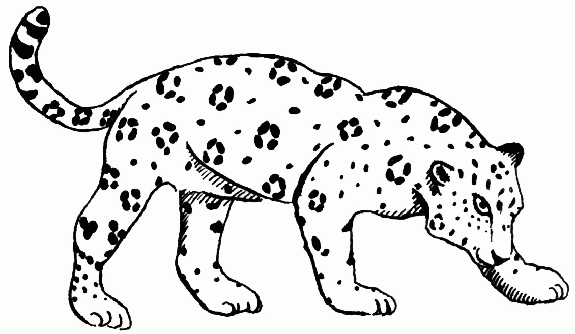 baby jaguar clip art