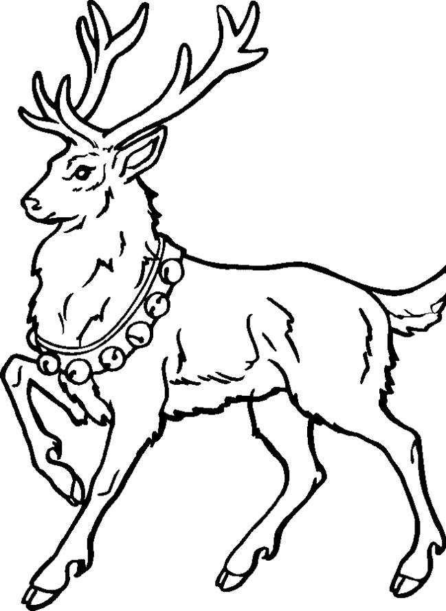 Christmas Reindeer Vector Art PNG Drawing Of Reindeer For Christmas Reindeer  Drawing Christmas Drawing Reindeer Sketch PNG Image For Free Download