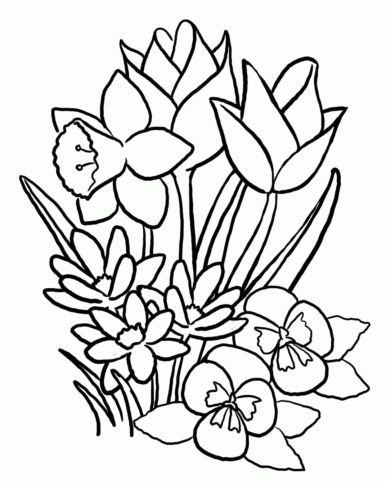Free Printable Spring Flower Pictures