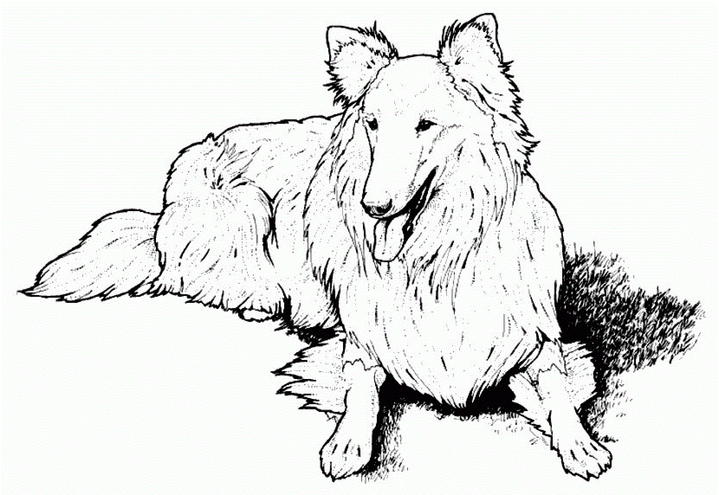 realistic dog colouring pages - Clip Art Library