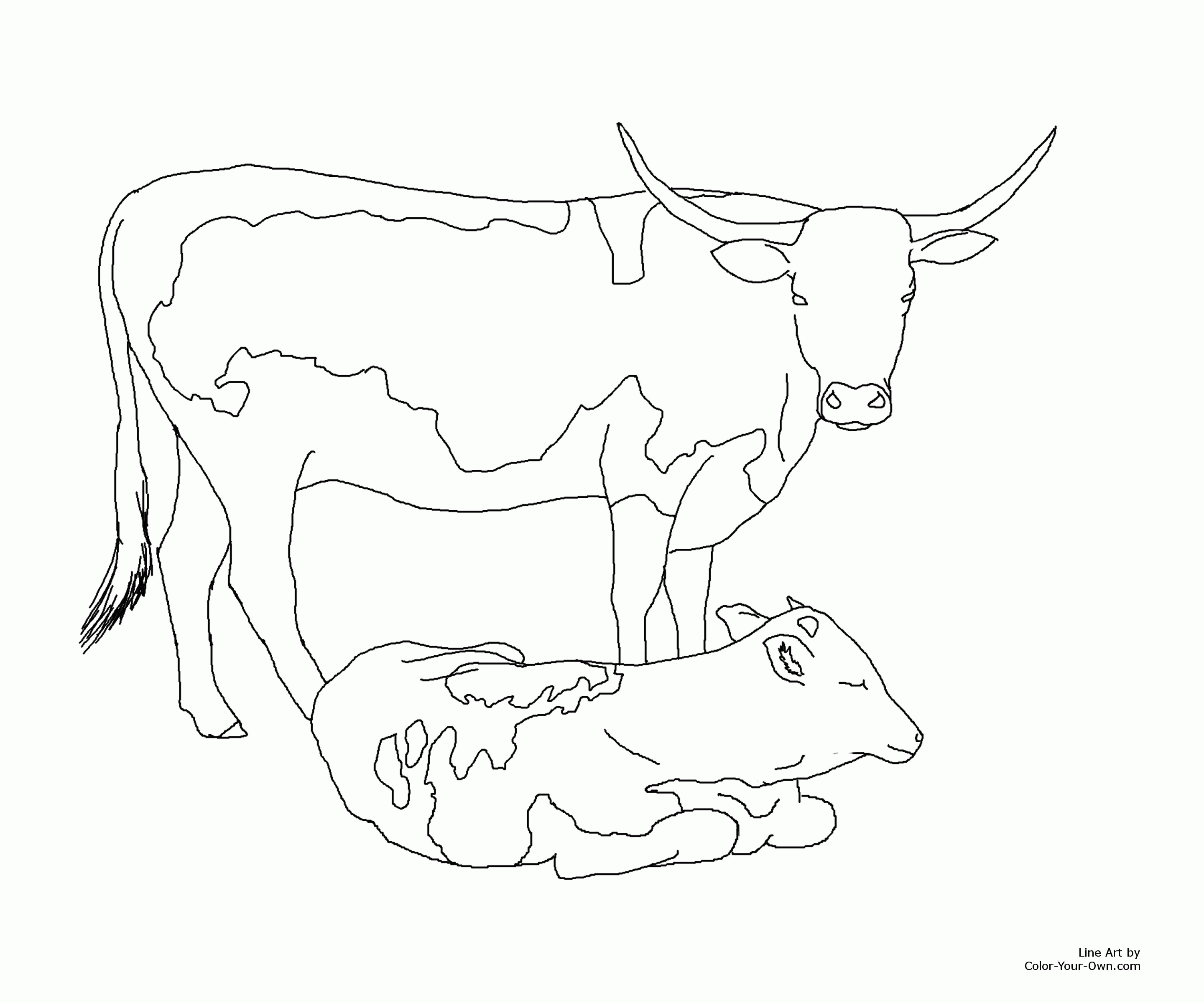 Раскрашивать коров. Раскраска корова. Корова раскраска для детей. Корова рисунок раскраска. Раскраска корова с теленком.