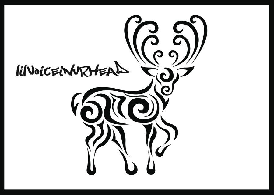 Free Elk Pictures