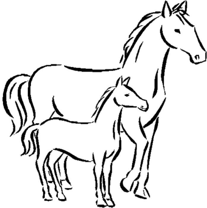 baby horse drawing