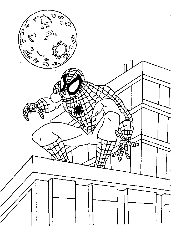 Pictures Of Cartoon Spiders