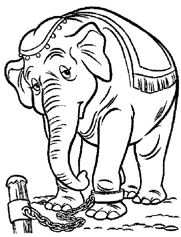 Dumbo the elephant Coloring Page | Free Printable Coloring