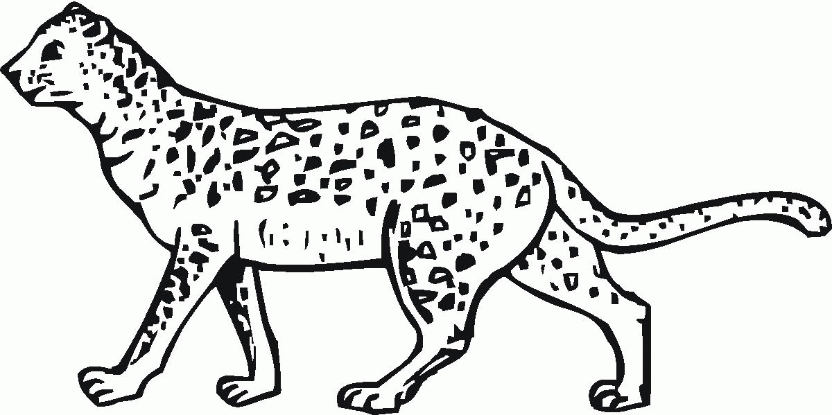 Coloring Pages Of Cheetahs