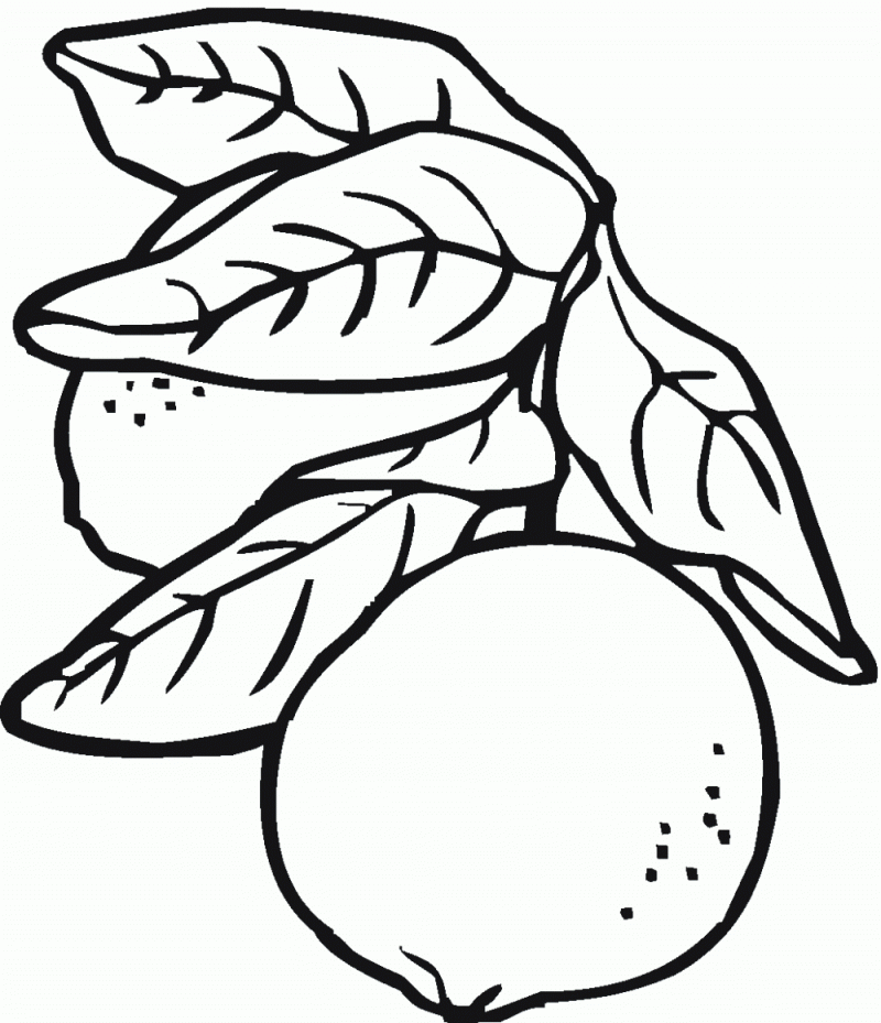 Pictures Of Lemons