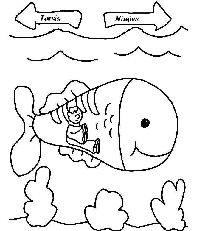 Whale Color Pages