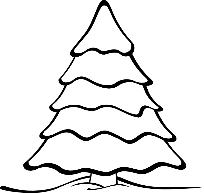 White Winter Tree Png  Png Download  Snow Cover Tree Drawing Transparent  Png  vhv