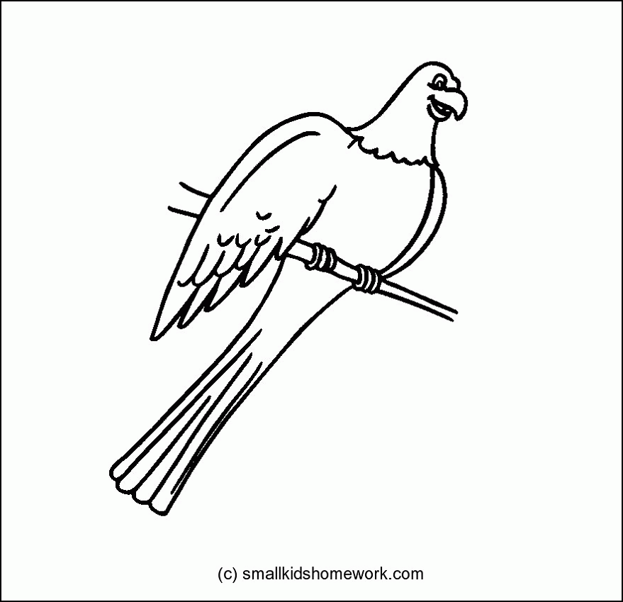 Birds Outline Pictures and Coloring Pages for little kids