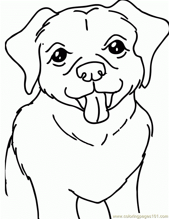 a yellow lab Colouring Pages