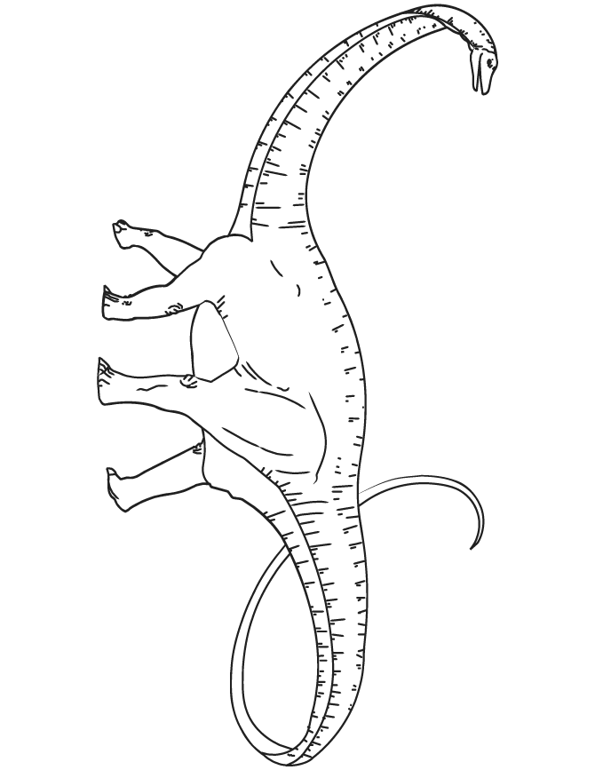 Download Realistic Dinosaur Coloring Pages Pdf Background - COLORIST