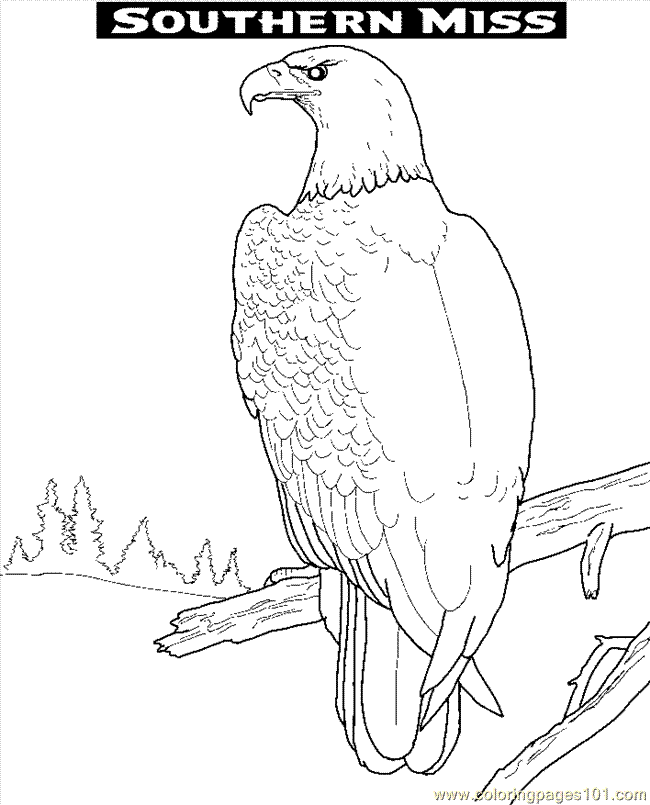 eagles football coloring pages - Clip Art Library