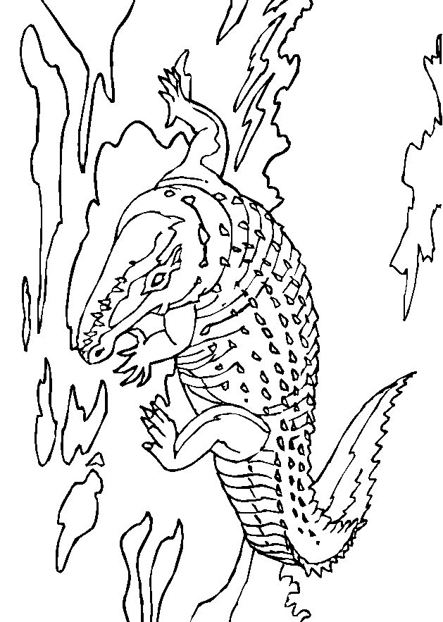 Crocodile Pictures To Color