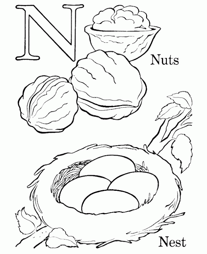 N For Nest And Big Bird Coloring Pages - Activity Coloring