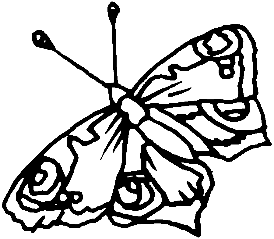 coloring pages online free for kids | Coloring Picture HD For Kids