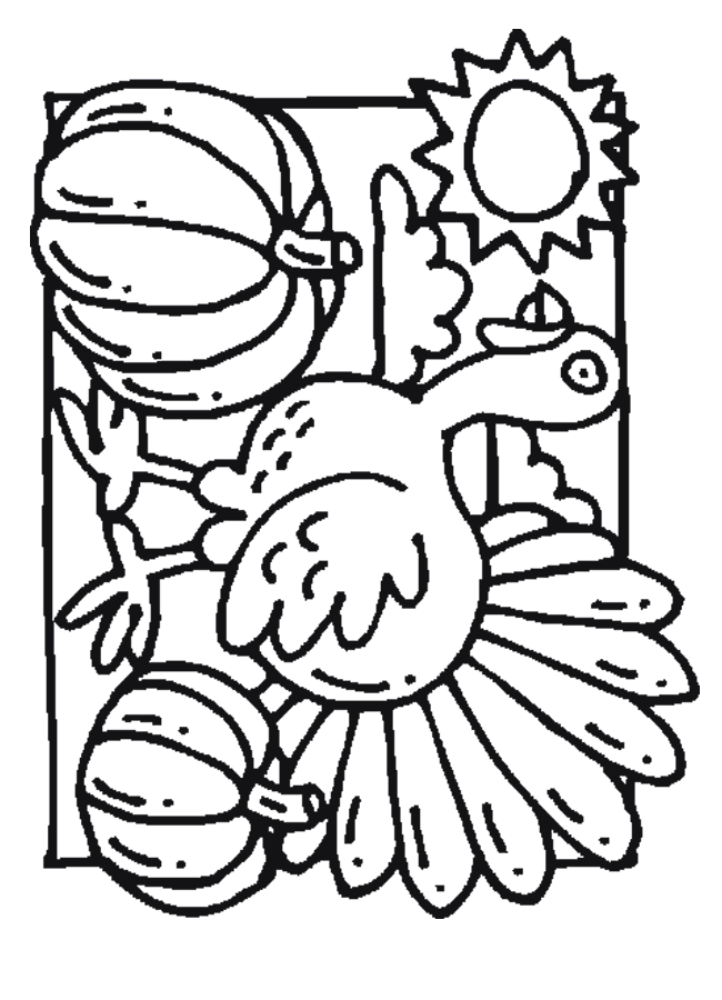 Coloring Pages: Turkey Coloring Pages