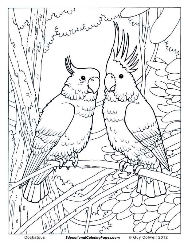 animal coloring pages free printable | Animal 