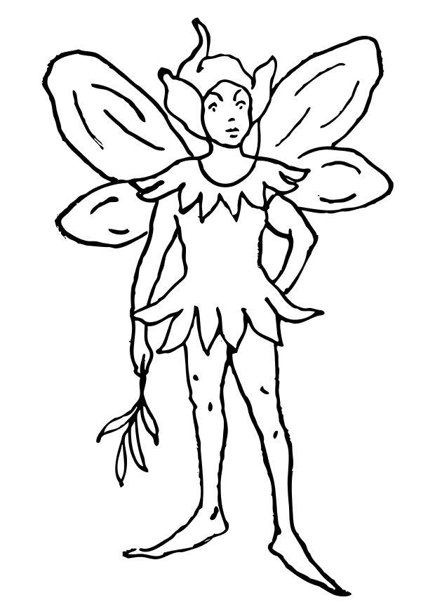 Pictures Of Elfs