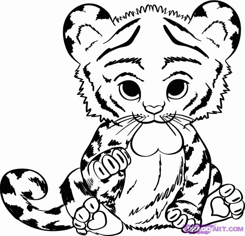 16+ Tiger Realistic Animal Coloring Pages