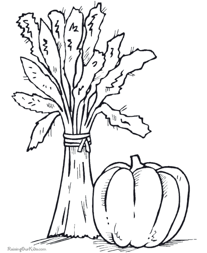 Thanksgiving Food