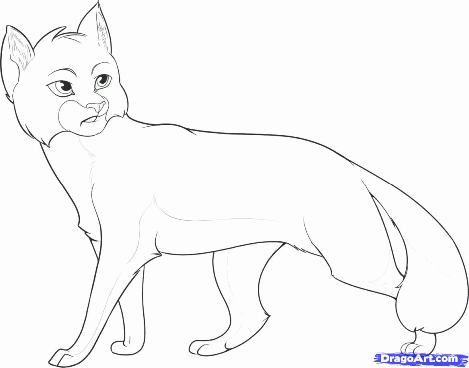 warrior cat scourge coloring pages